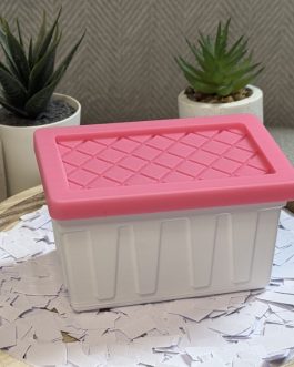 Mini Tote Desk Storage